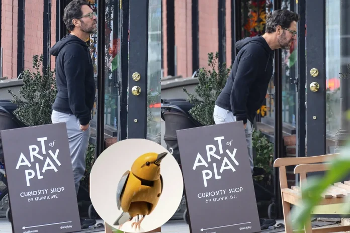 Paul Rudd Spotted Window-Shopping at Brooklyn Shop Behind Kelly Clarkson’s $15,000 Bird Saga