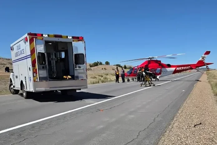 Utah woman watching porn driving deadly crash