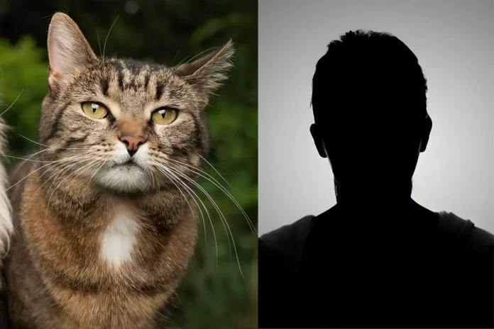 Vietnam cat theft ring charged meat trade
