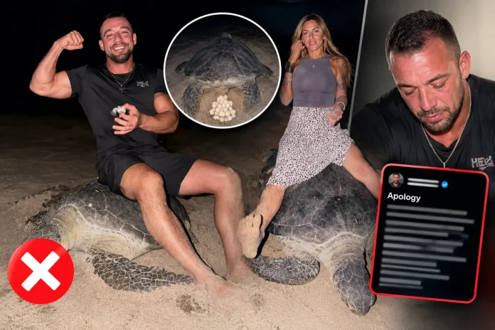 Fitness influencer apologizes riding nesting sea turtle Oman